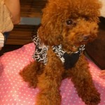 o0405072012617572117