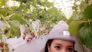 C360_2015-04-13-15-16-21-415