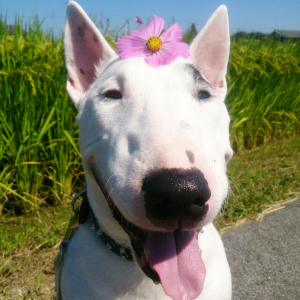 Screenshot_2015-10-03-23-14-37-1