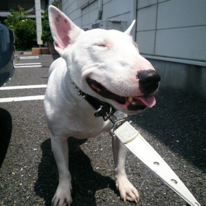 Screenshot_2015-10-08-01-43-06-1