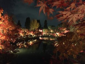 cid_79b9360c-ffcd-434e-a153-90b57fc9c6a5