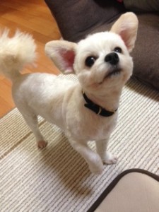 !cid_ADFCBD61-CF75-4A4D-A6C8-67B170E6B911